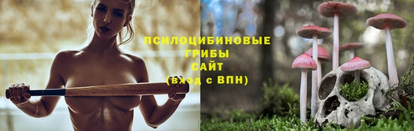 хмурый Дмитровск