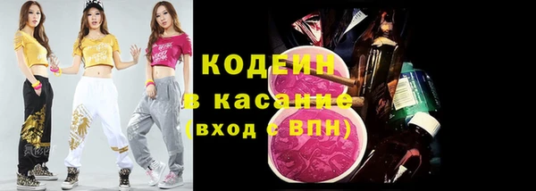 хмурый Дмитровск