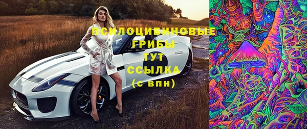 мяу мяу кристалл Дмитриев