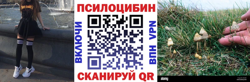 Псилоцибиновые грибы GOLDEN TEACHER  Межгорье 